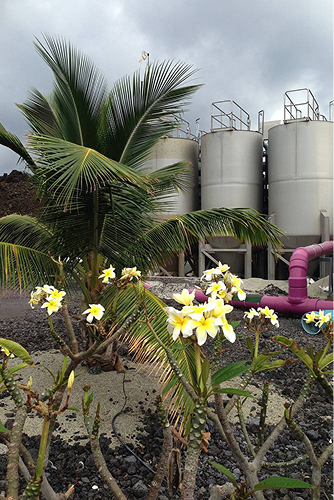 Historical timeline showcasing 100 years of California Water Service 2010