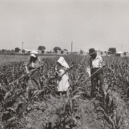 Historical timeline showcasing 100 years of California Water Service 1943