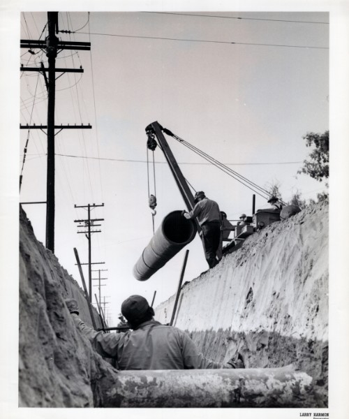 Resilience in Action