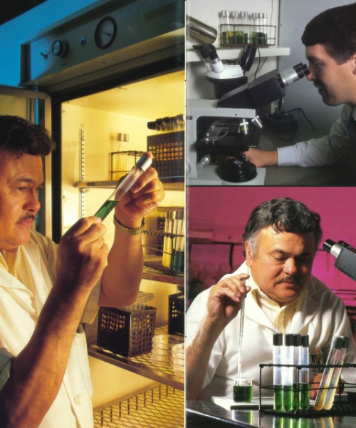 Testing for Tomorrow