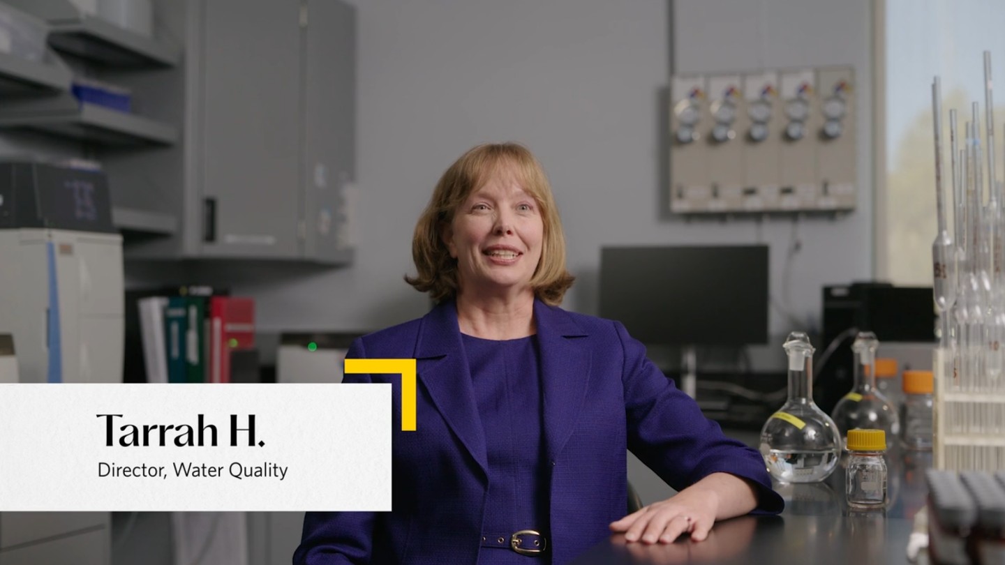 Historical timeline showcasing 100 years of California Water Service 1993